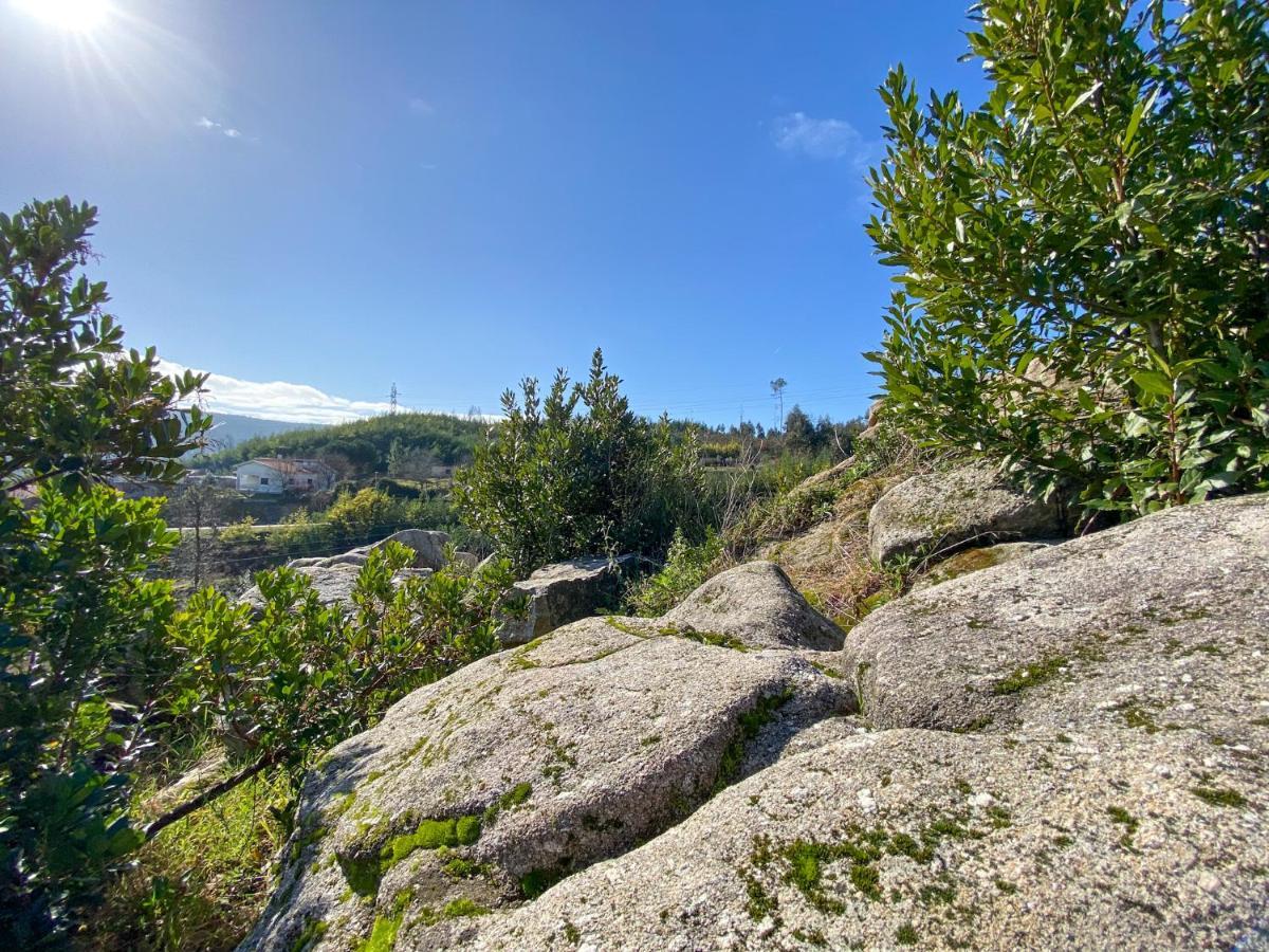 Encosta Do Sol Διαμέρισμα Canas de Senhorim Εξωτερικό φωτογραφία