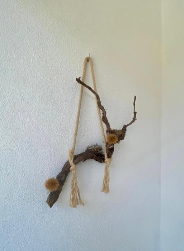 Encosta Do Sol Διαμέρισμα Canas de Senhorim Εξωτερικό φωτογραφία